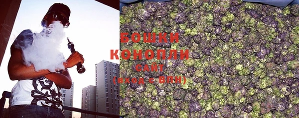 бошки Горнозаводск