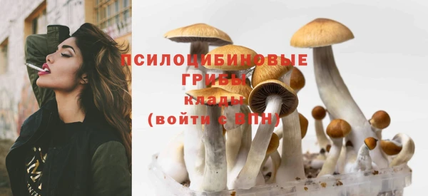 марки nbome Горняк