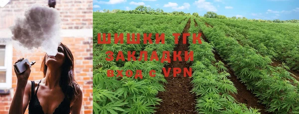 бошки Горнозаводск