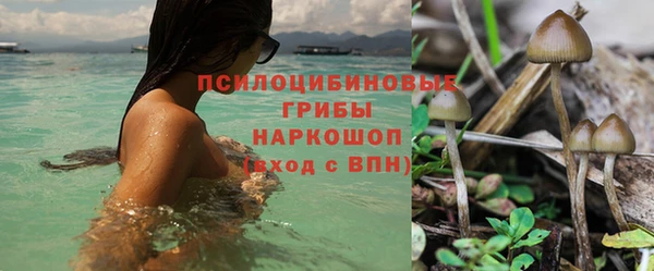 марки nbome Горняк