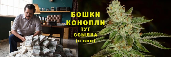 бошки Горнозаводск