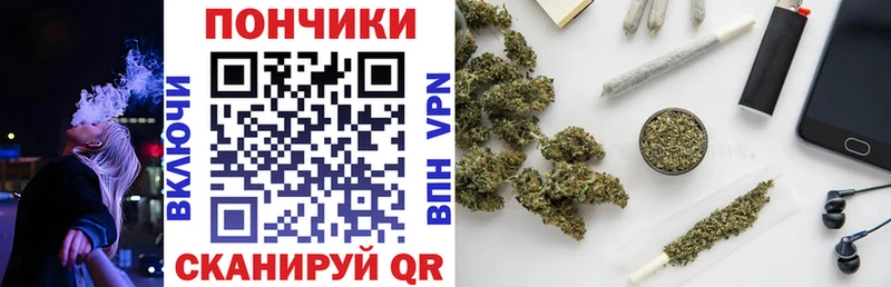 Купить где  Калач-на-Дону  Бошки Шишки ГИДРОПОН 